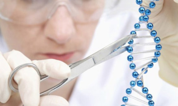 1531998031116203ok0k.png 136.png