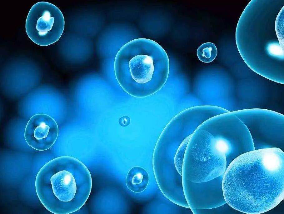 1532045718454684SA0A.png 圖片14.png