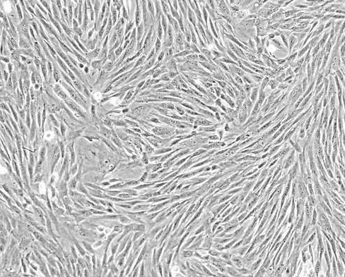 15320457359791092zae.png 圖片17.png