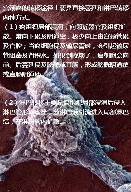 1532048784946422gdFJ.png 圖片67.png