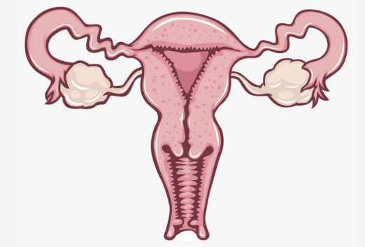 1532051598841361GyJA.png 圖片187.png