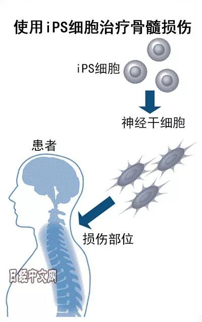 15505438355836097cQw.jpg 微信圖片_20190219103632.jpg