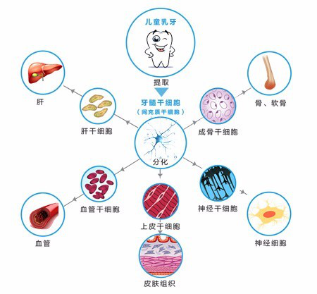 1563761971673172YhlL.png 圖片5.png