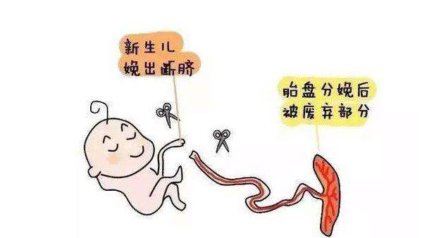 1570755276588853jV3O.png 圖片2.png