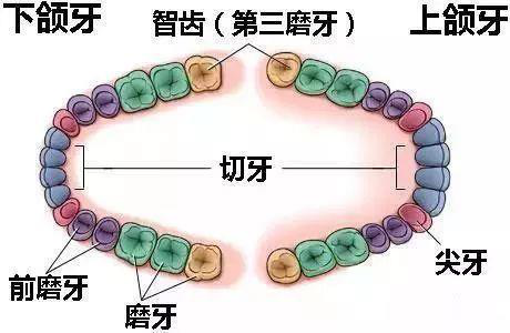 1573094404698265ZfDo.png 圖片2.png